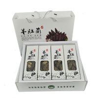 羊肚菌批發(fā) 產(chǎn)地直發(fā)  哪里基地羊肚菌品質(zhì)好